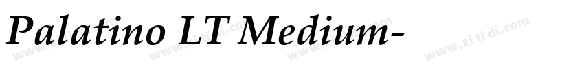 Palatino LT Medium字体转换